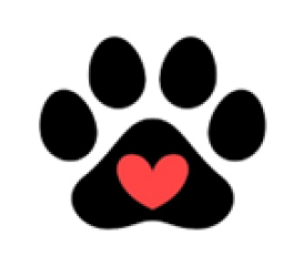 New Mexico Spay and Neuter Program